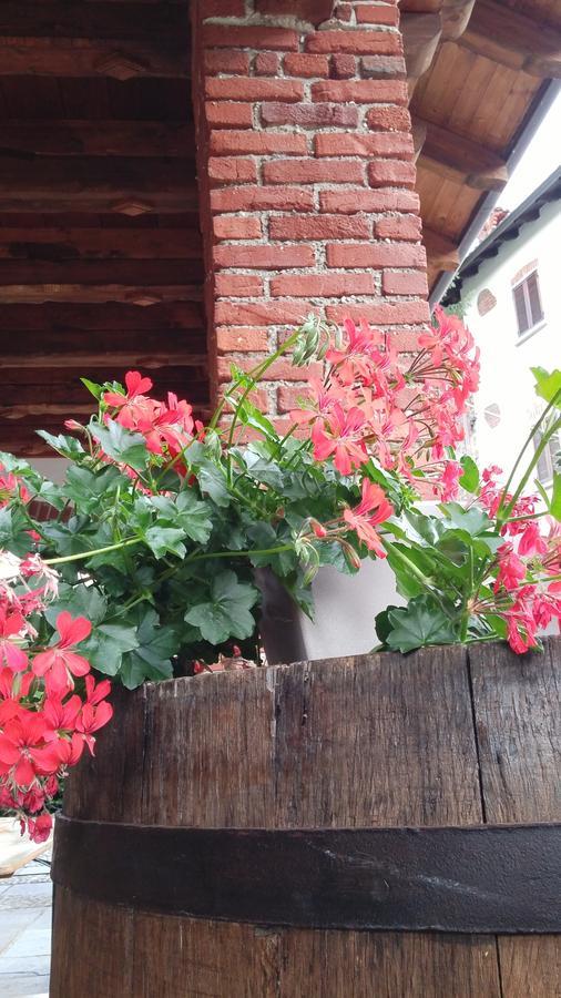 Bed & Breakfast Relais Profumo Di Vino